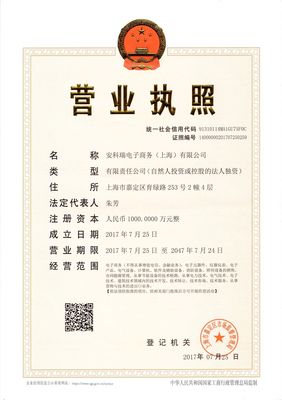 軟件技術轉讓 公司概況與發展戰略